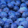 Kerry Blueberry Flavoring – 4 oz